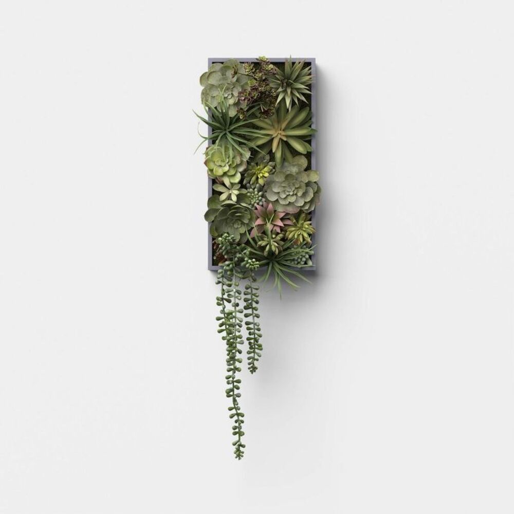19" Hanging Artificial Succulent Wall Box - Threshold